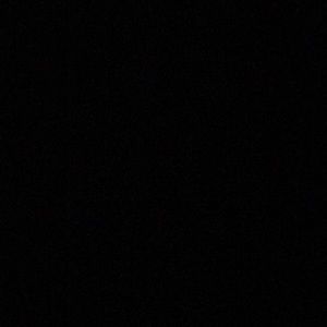 Meet your Posher, Beverly